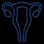 Gynecology Medical Billing Services