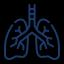Pulmonology Medical Billing Services